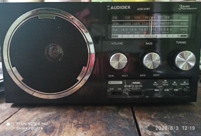 AUDIOEX Retro Style FM Radio - AUDIOEX 