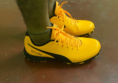 Puma onex best sale cricket shoes