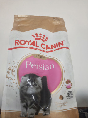 Harga royal canin persian cheap