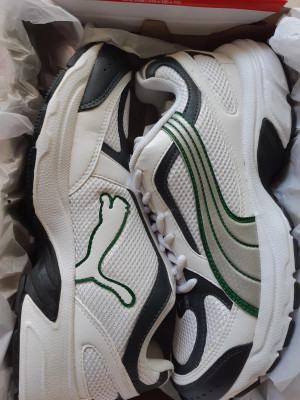 Puma men's clearance ceylon ii ind