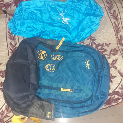 SKYBAGS STREAM 01 BLUE 30 L Backpack BLUE Price in India