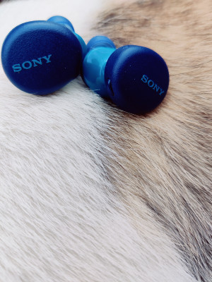Sony wf xb700 hotsell price in india flipkart