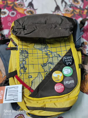 SAFARI Atlas Yellow 42 L Laptop Backpack Yellow Price in India