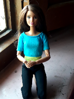 BARBIE Made to Move Doll Blue Made to Move Doll Blue . Buy