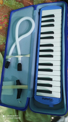 Havana melodica cheap