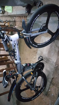 Wolf cycle 2025 company