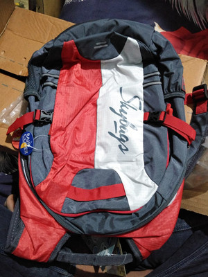SKYBAGS STRIDER 03 LAPTOP 25 L Laptop Backpack RED Price in India Flipkart