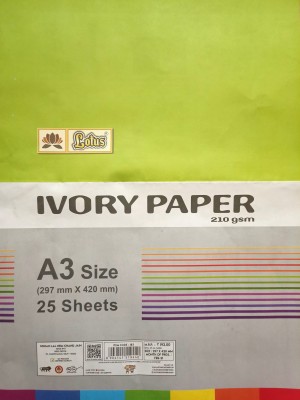 PREMIUM QUALITY IVORY PAPER UNRULED A4 SIZE = 210*297 MM 210  gsm Drawing Paper - Drawing Paper
