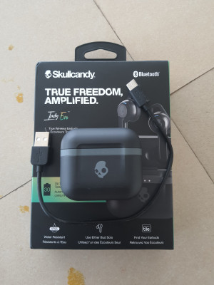 Skullcandy Indy Evo True Bluetooth Headset Price in India Buy