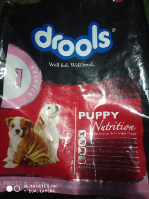 Drools starter price clearance
