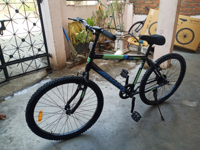 Street cat cycle 1995 cheap