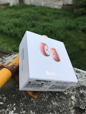 Samsung buds live store flipkart