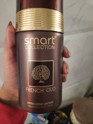 Oud touch 2025 perfume smart collection