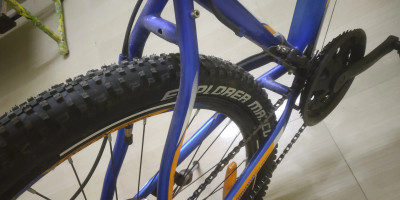 Blue hotsell mtb tyres