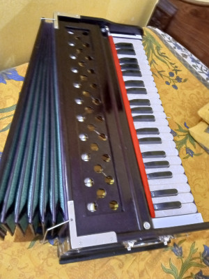 Desi harmonium discount price