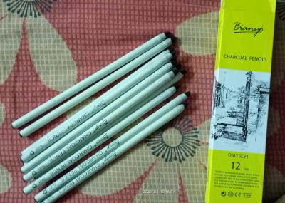 Bianyo Colored Charcoal Pencils 12Pcs - Diqqa