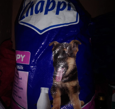 Chappie dog food 20kg price sales