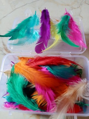 Nimida Natural Dyed Multi-coloured Feathers for Art & Craft / Kids