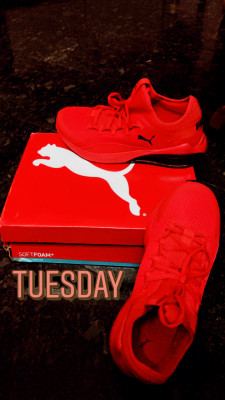 Puma red october sales