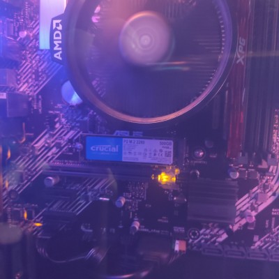 Gaming PC avec AMD Ryzen 5 5600G 6x3900 MHz, 1000 Go M.2 SSD, 16 Go  DDR4-RAM, Radeon Graphics, Carte mère ASUS, HDMI, VGA, USB 3.2, Basic  M10080 : : Informatique