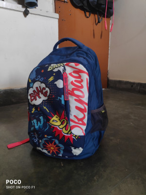 SKYBAGS Figo Plus 05 Backpack E Blue 32 L Backpack Blue Price in India Flipkart