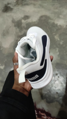 Ioffer puma clearance