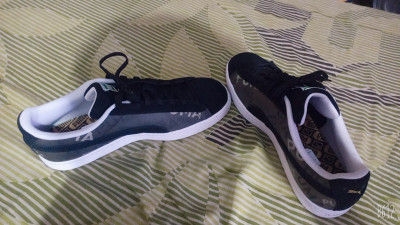 Romanfox puma shoes new arrivals