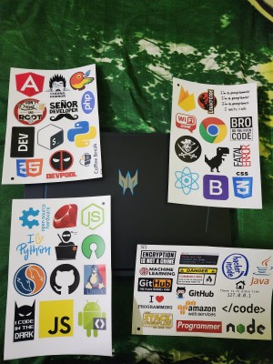 CodersParadise Vinyl Pack of 51 Laptop Sticker For Programmer, Coder,  Developer, It Professional - Stickers For Laptop, Journal, Bike Helmet,  Diary
