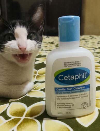 Cetaphil Gentle Skin Cleanser 1 L - Image 9
