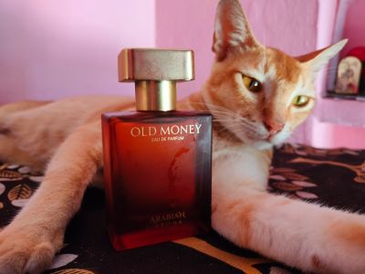 Arabian Aroma Old Money Eau de Parfum 50 ml - Image 9