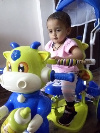 Hunny sales bunny tricycle