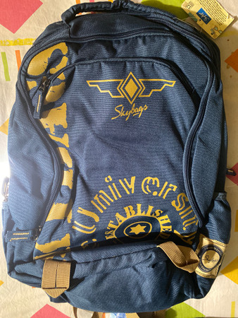 SKYBAGS Raider 02 Blue 26 L Backpack Blue Price in India