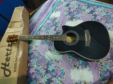 Hertz hzr 4002 e acoustic guitar top