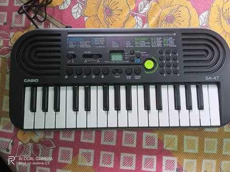 CASIO SA 47 with LAD 6 AC Adaptor 9.5V KM14 KLA17 Digital Portable Keyboard Price in India Buy CASIO SA 47 with LAD 6 AC Adaptor 9.5V KM14 KLA17 Digital Portable Keyboard online
