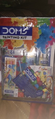 Plastic Doms Mini Painting Kit at Rs 145/kit in New Delhi