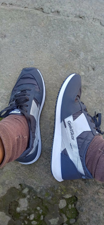 GOLDSTAR Latest Original Training Gym Shoes For Men Buy