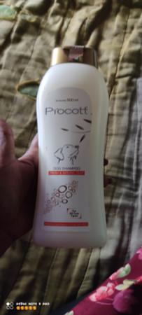 Procott Procott 500 Ml Whitening and Color Enhancing Conditioning
