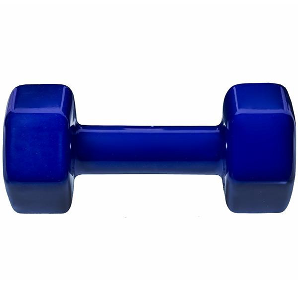 Cosco sales dumbbell set