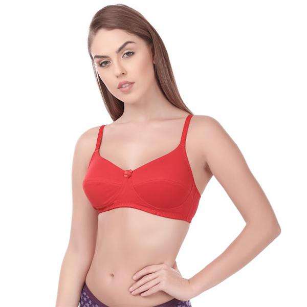 Buy Rupa Softline Butterfly 1034 3 MIXCOL Full Stretchable Cotton Bra Red ( 34B-85 cm) Online