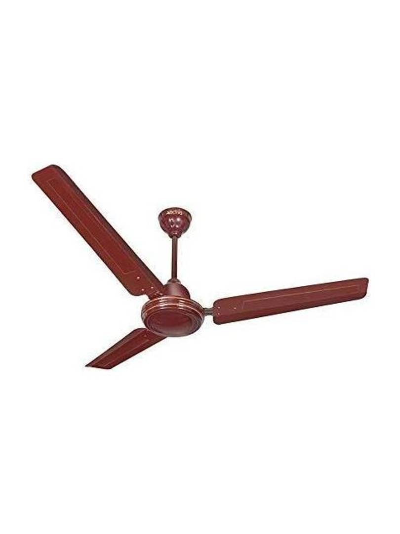 ACTIVA Bold with 2 Year Warranty 1200 MM Ceiling Fan Brown | Pack of 1