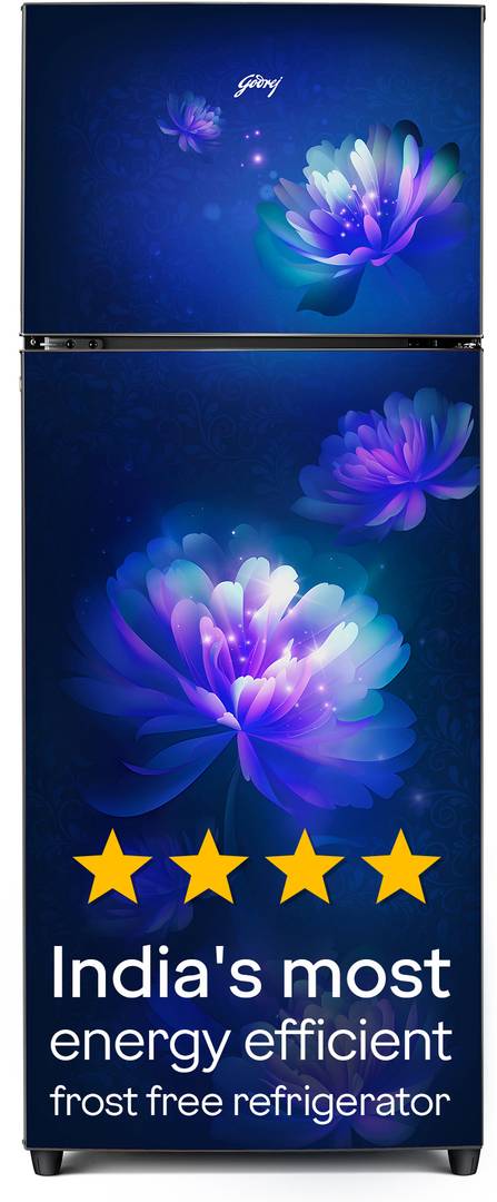 Godrej 244 L Frost Free Double Door 4 Star Refrigerator with AI Powered | Convertible Freezer 6-In-1 | 95%+ Food Surface Disinfection | Inverter Compr