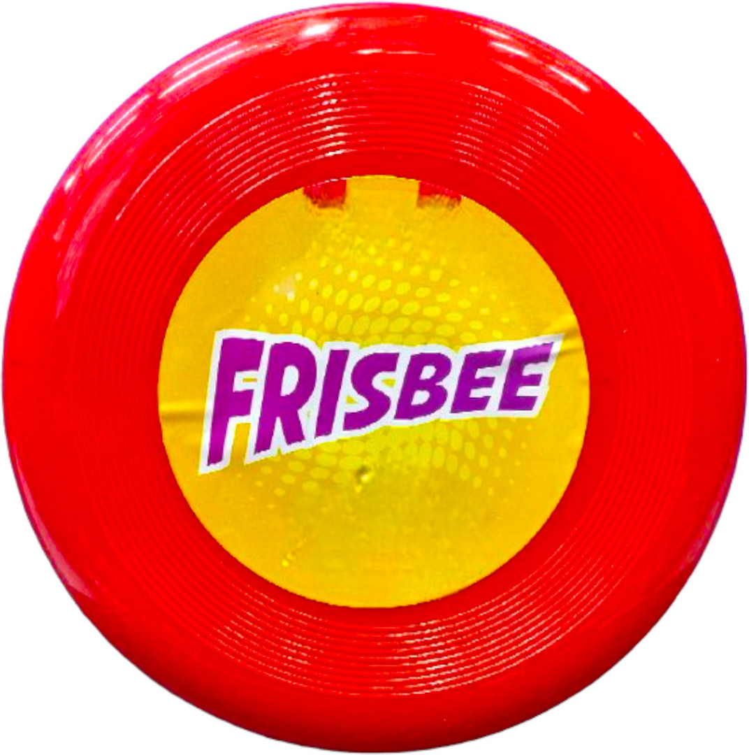 SARASI Super Frisbee Family Fun Game, Thrilling Game Of Catch, Durable & Safe [20cm] Frisbie & Boomerang