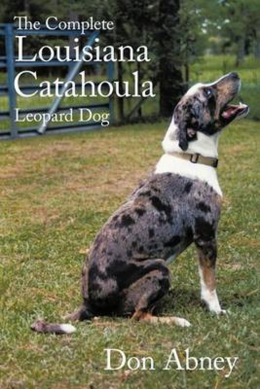 Catahoula clearance leopard price