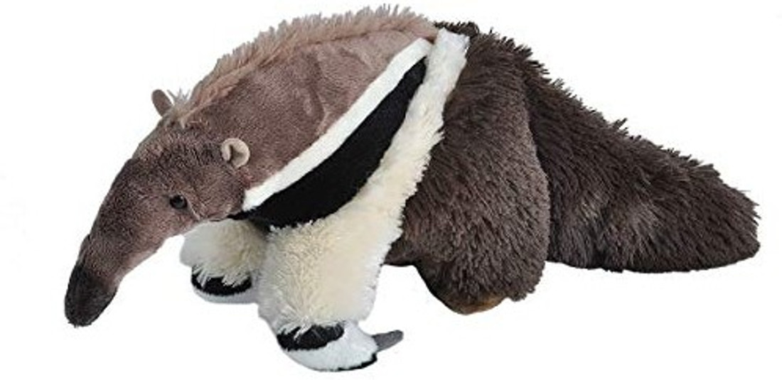 Wild republic tapir 2025