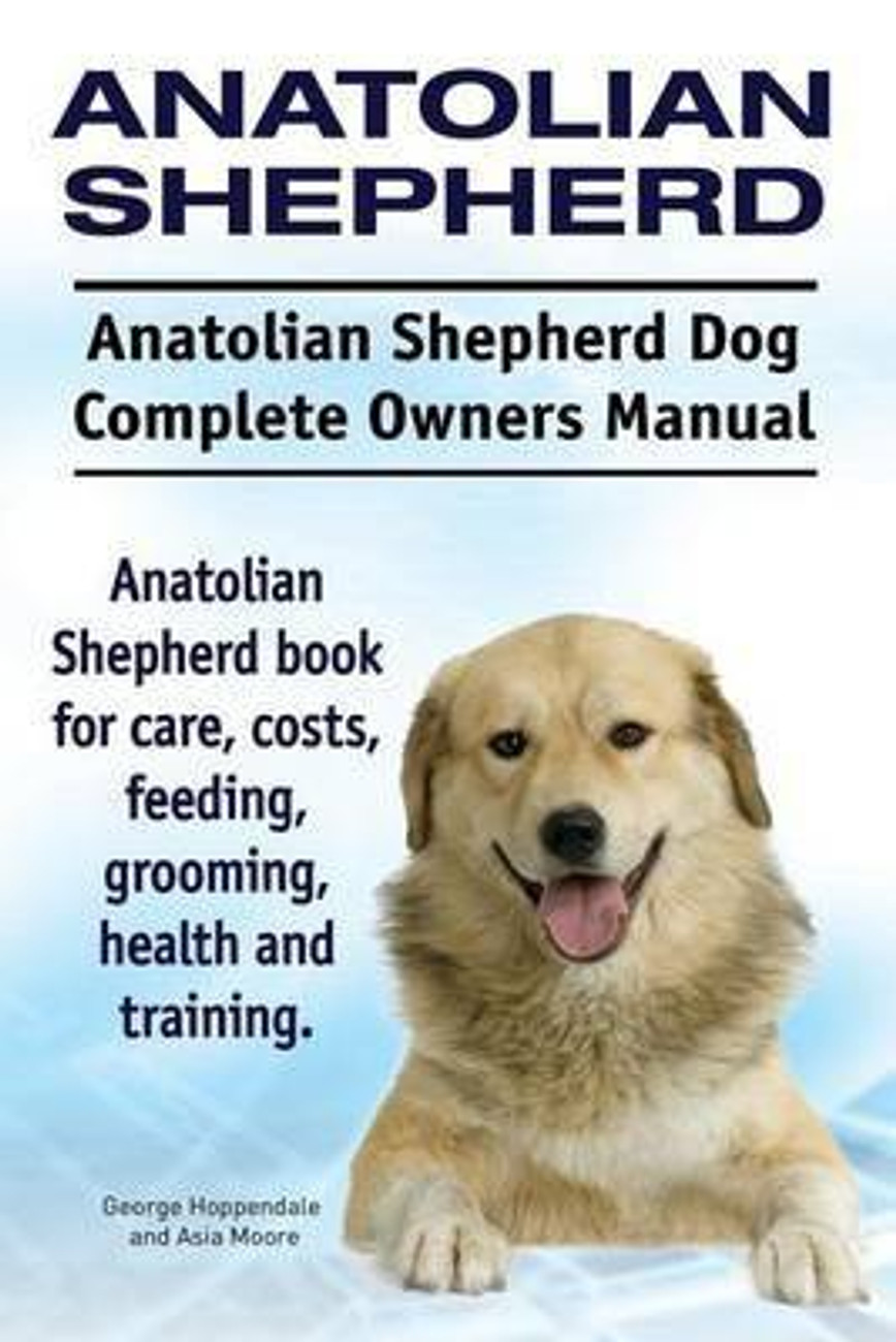 Anatolian sales shepherd training