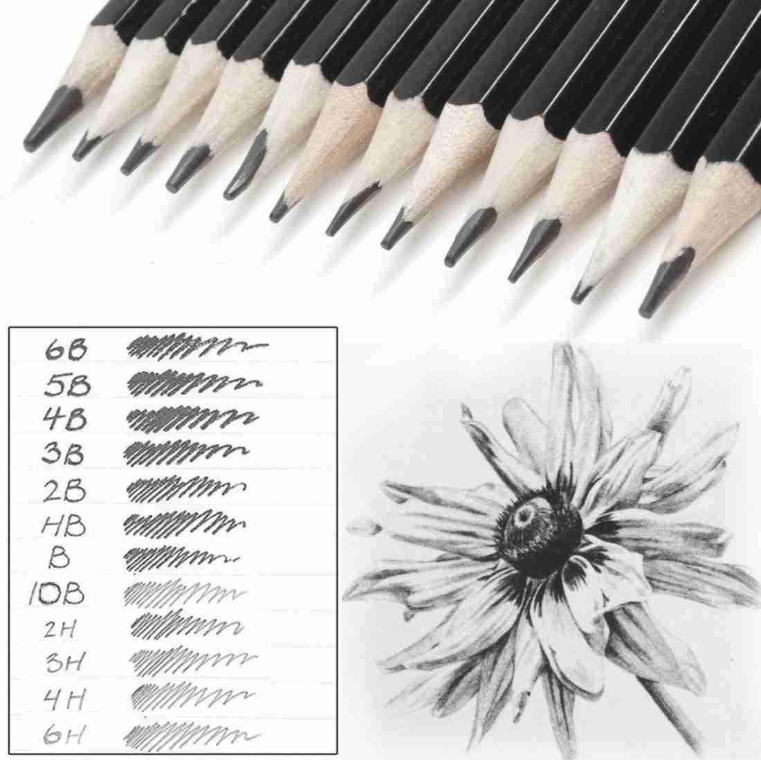 Definite Art Graphite Professional Drawing Sketching Pencil  Set- Artist Grade Degree Pencils 10B, 8B, 6B, 5B, 4B, 3B, 2B, B, HB, 2H, 4H  and 6H (Pack of 12), Art Blending
