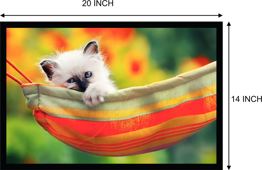 Billi ki online new comedy