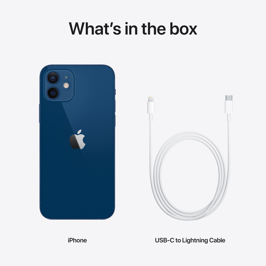 Apple iPhone 12 (Blue, 64 GB)