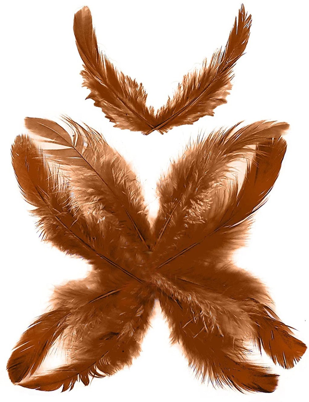 Natural and Brown Feathers, Arts & Crafts