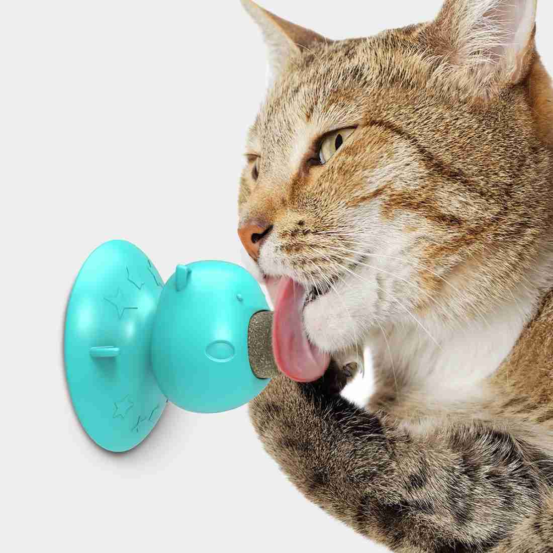 Dog Lick Toy Interactive Cat Dog Toy Licking Treats Toys Pig Nose Shaped  Suction